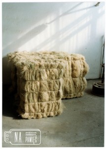 1994. Rozpoczęcie produkcji wstępnej w Cellinenie, wyprodukowane pierwsze bele włókna konopnego